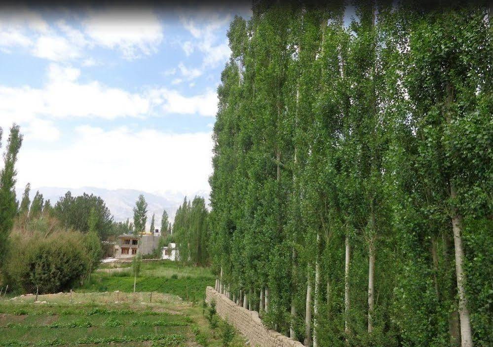 Hotel Ladakh Heaven Leh Luaran gambar